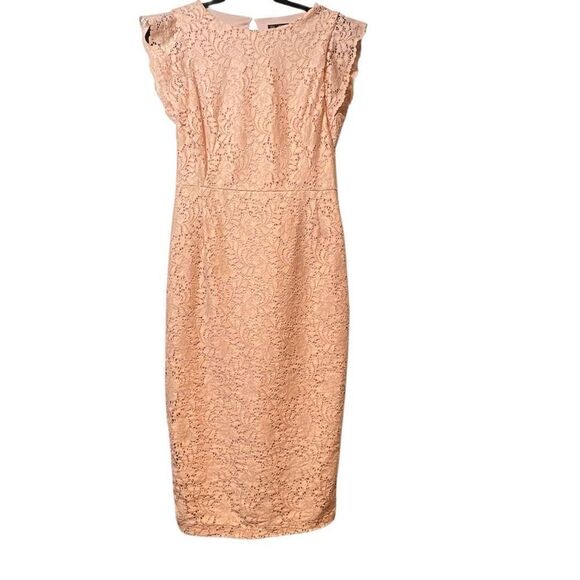 Zara Basic Collection Pink Lace Midi Dress Sleeveless Ruffle Trim Size M (040) - Picture 16 of 16